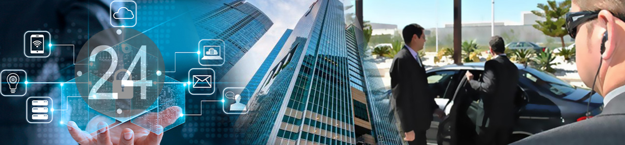 Vigilancia Especializada