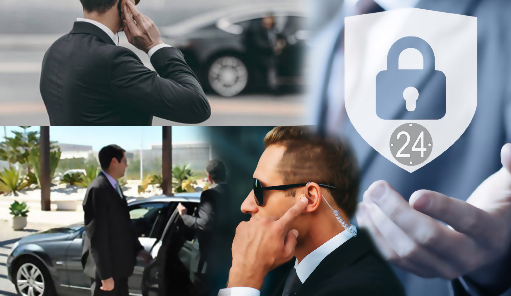 Vigilancia Especializada